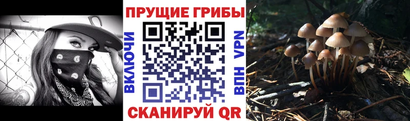 Псилоцибиновые грибы GOLDEN TEACHER  купить  сайты  Кедровый 